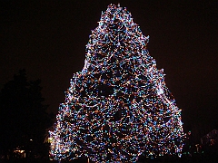 067 Toledo Zoo Light Show [2008 Dec 27]
